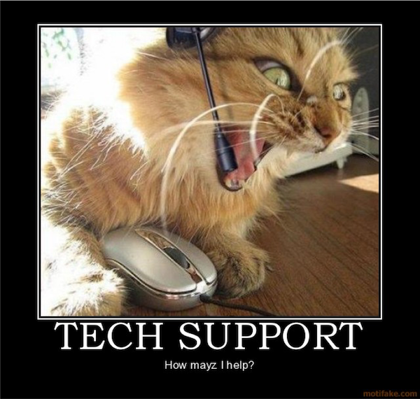 Picture of an angry cat acting as tech support
